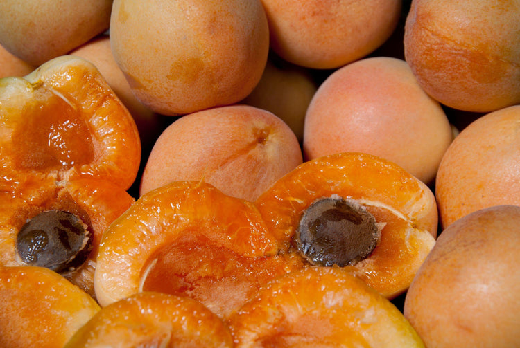 Apricots