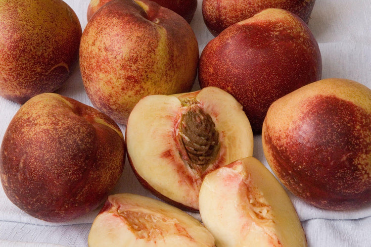 Nectarine