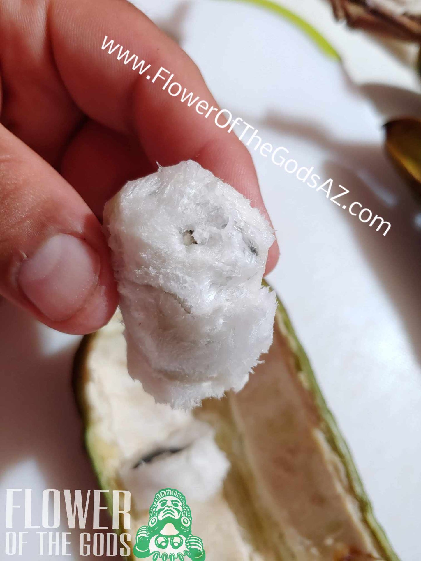 Tropical - Ice Cream Bean