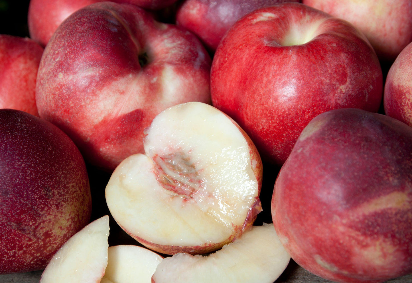Nectarine - Artic Star PRE-ORDER
