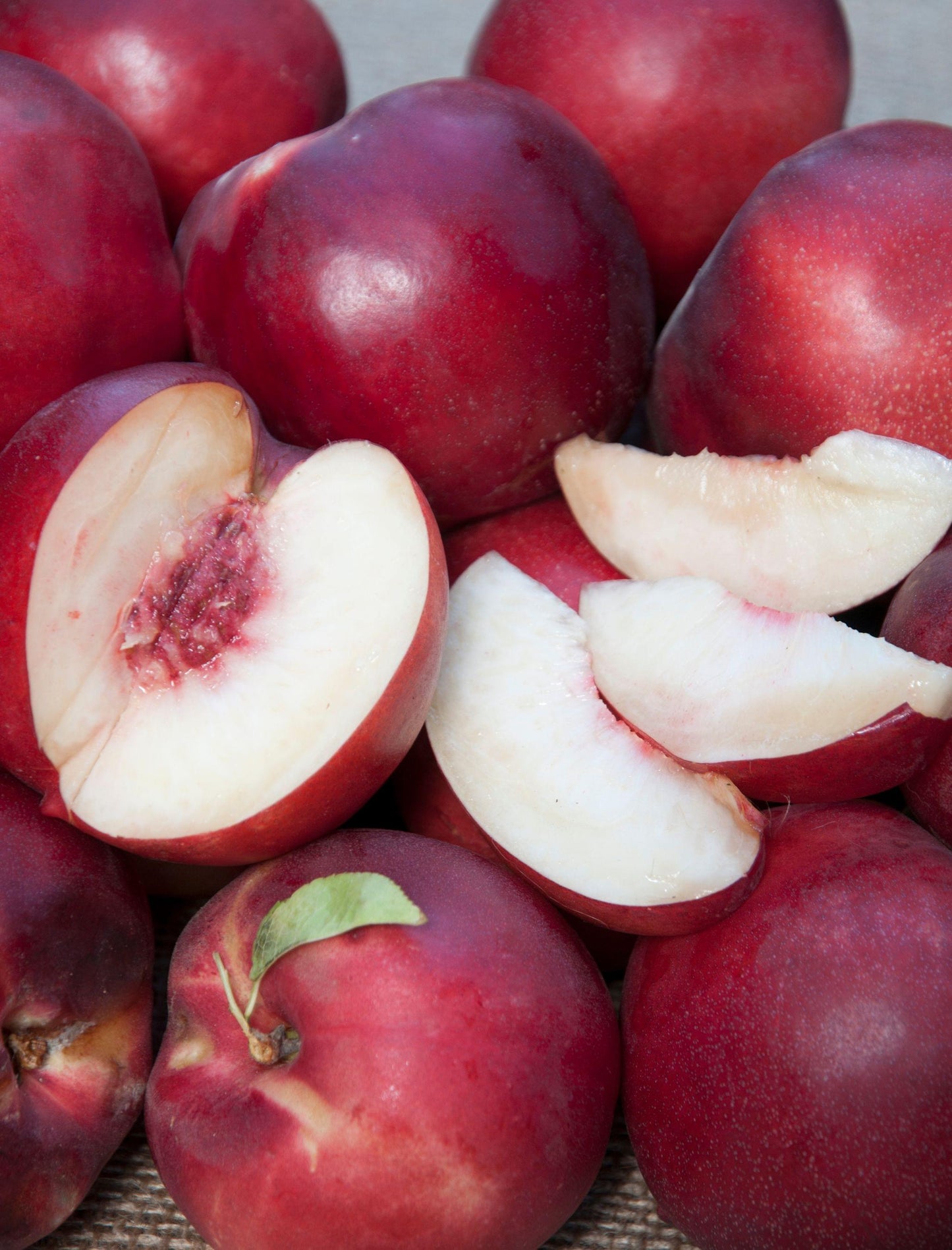 Nectarine - Atomic Red - PRE-ORDER