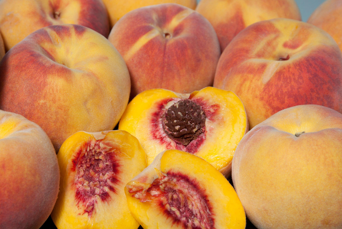Peach - August Pride - PRE-ORDER