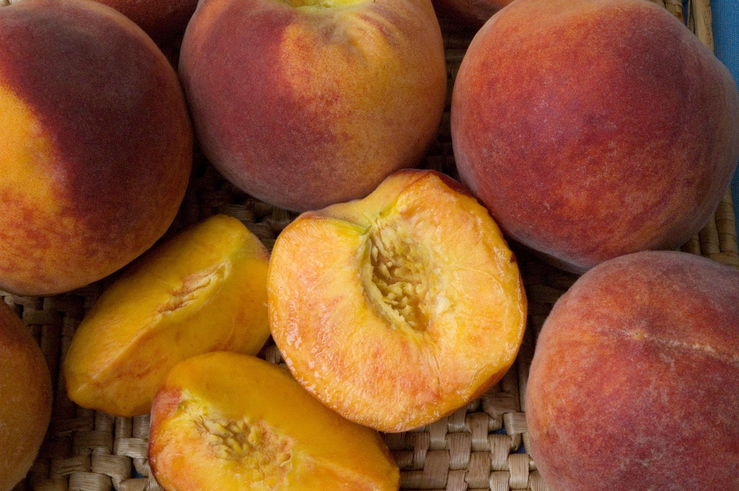 Peach - Bonanza, high head - PRE-ORDER