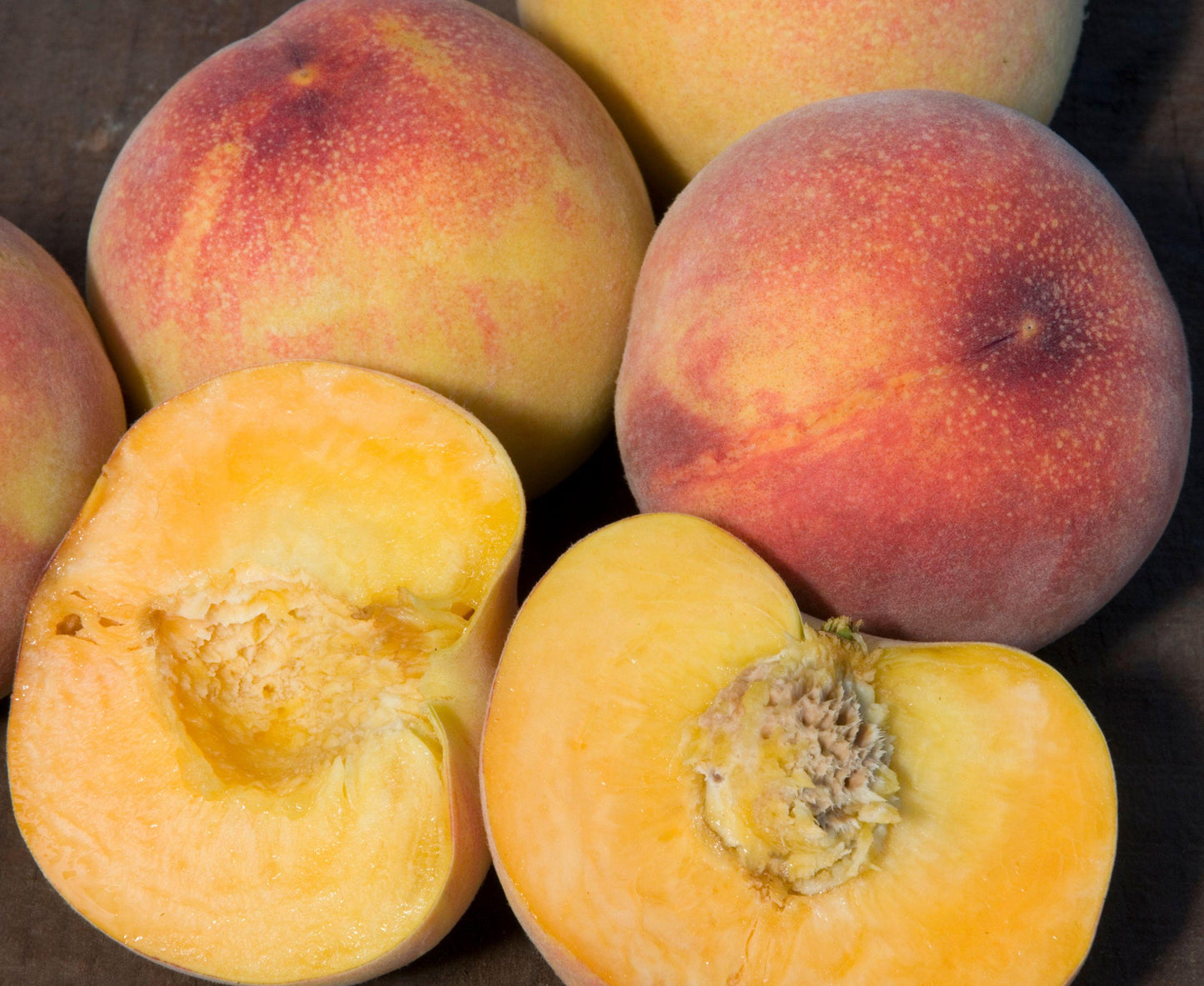 Peach - Earligrande - PRE-ORDER