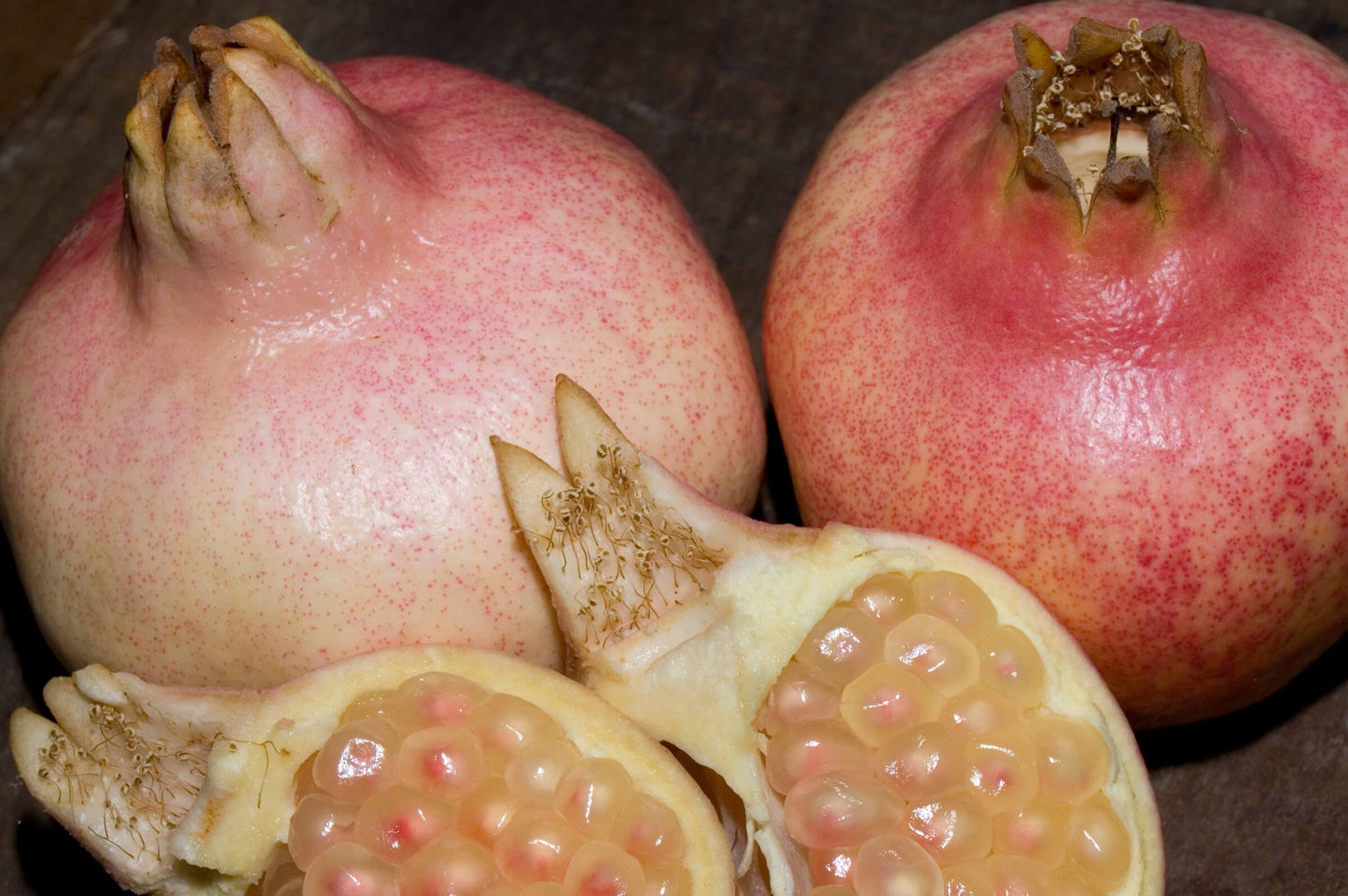 Pomegranate - Eversweet - PRE-ORDER