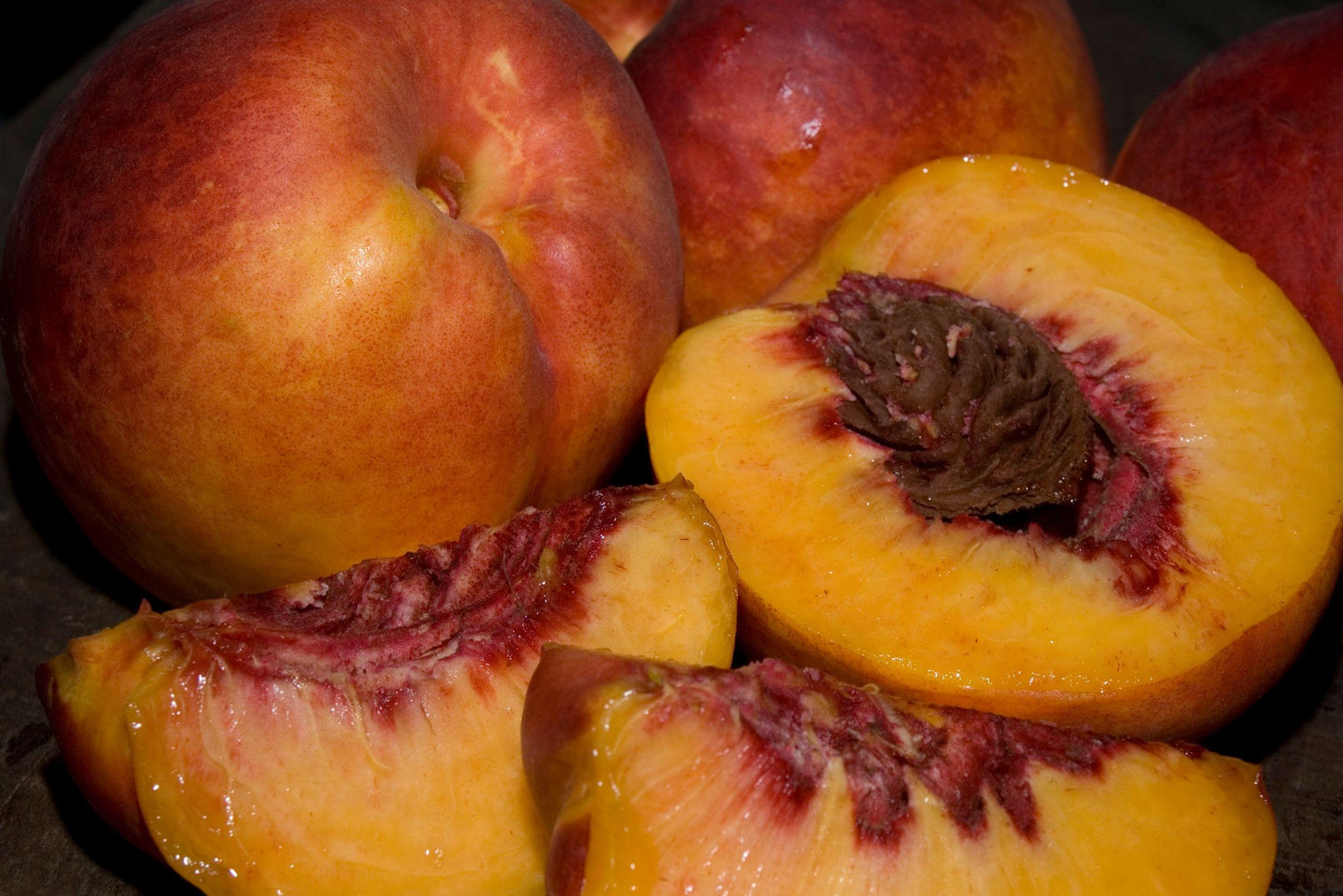 Nectarine - Fantasia - PRE-ORDER