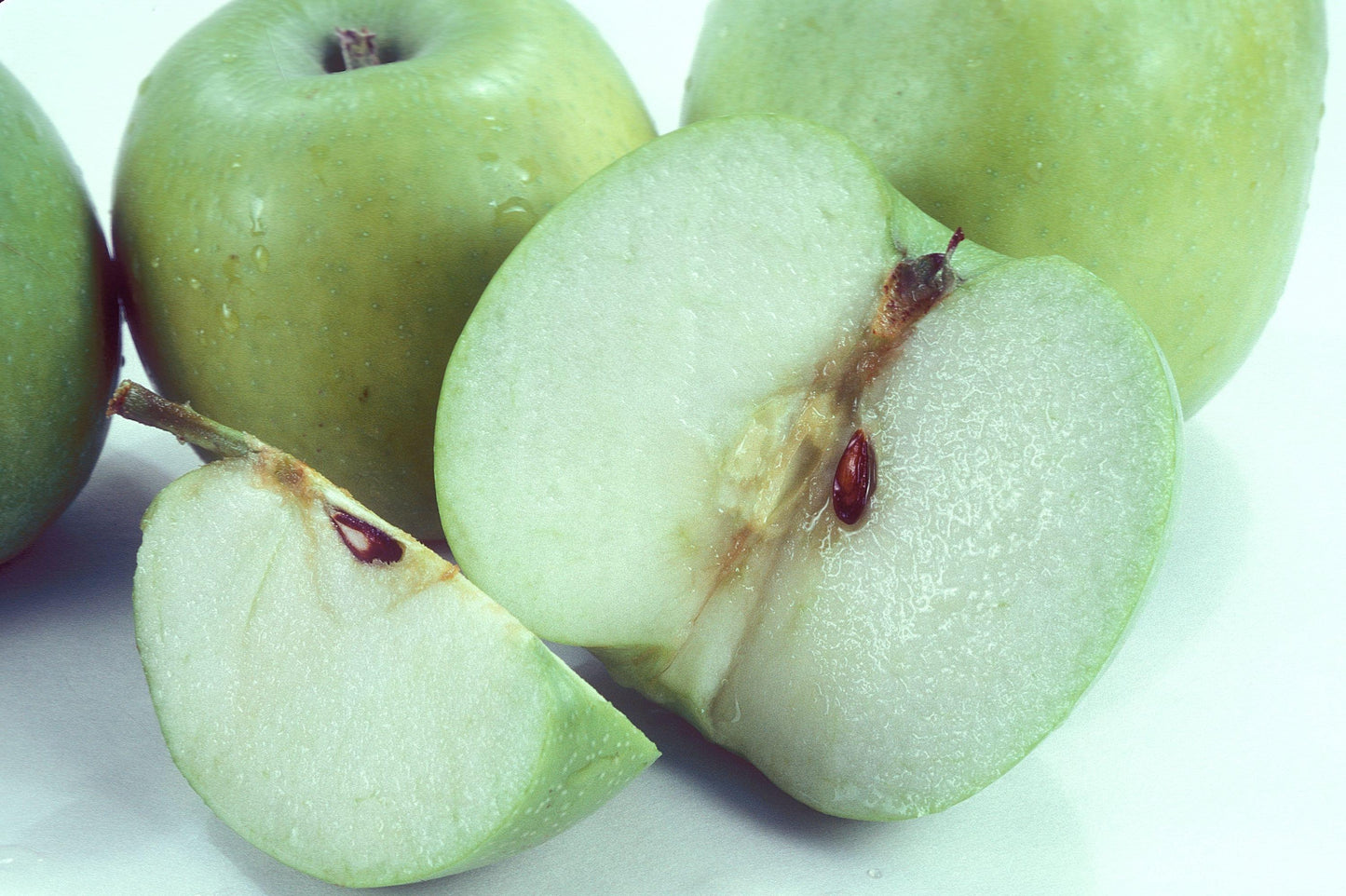 Apple - Mutsu (Crispin) - PRE-ORDER