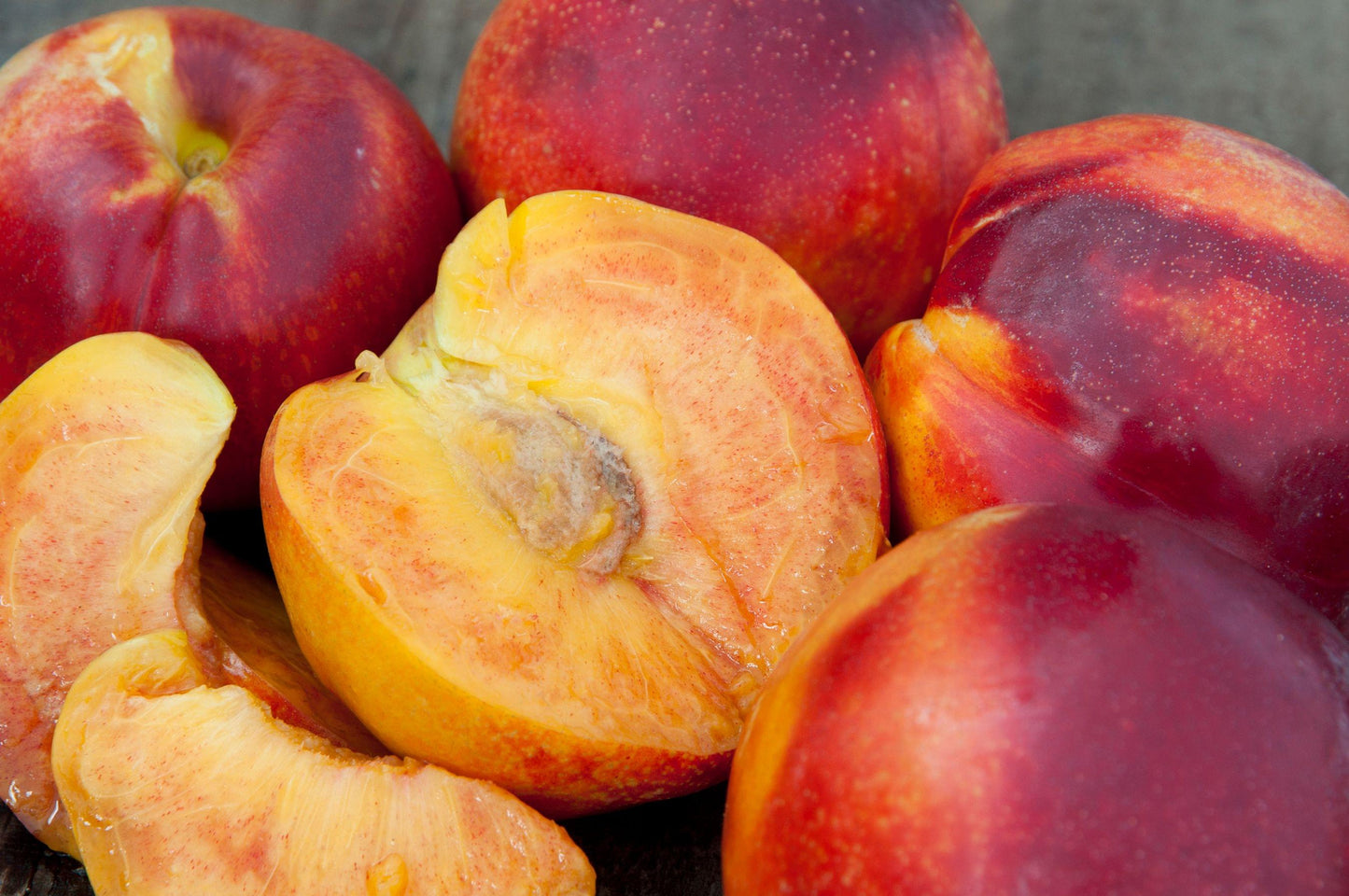 Nectarine - Necta Zee, high head - PRE-ORDER