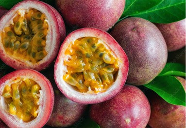 Tropical - Passion Fruit - Frederick