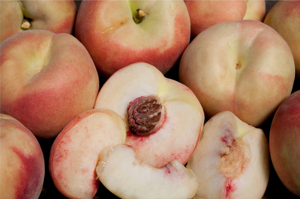 Peach - Tropic Snow White - PRE-ORDER