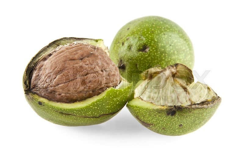 Walnut - Placentia - PRE-ORDER