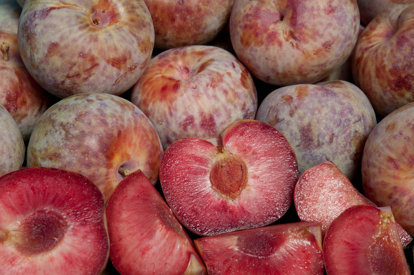 Pluot - Dapple Dandy - PRE-ORDER