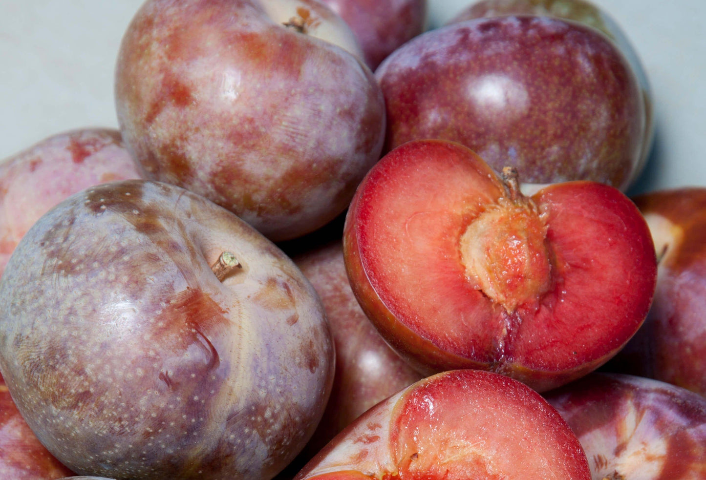 Pluot - Dapple Supreme - PRE-ORDER