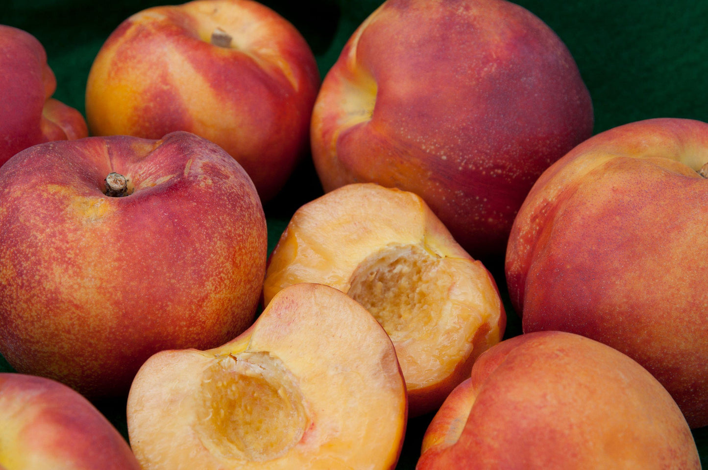 Nectarine - Desert Delight - PRE-ORDER