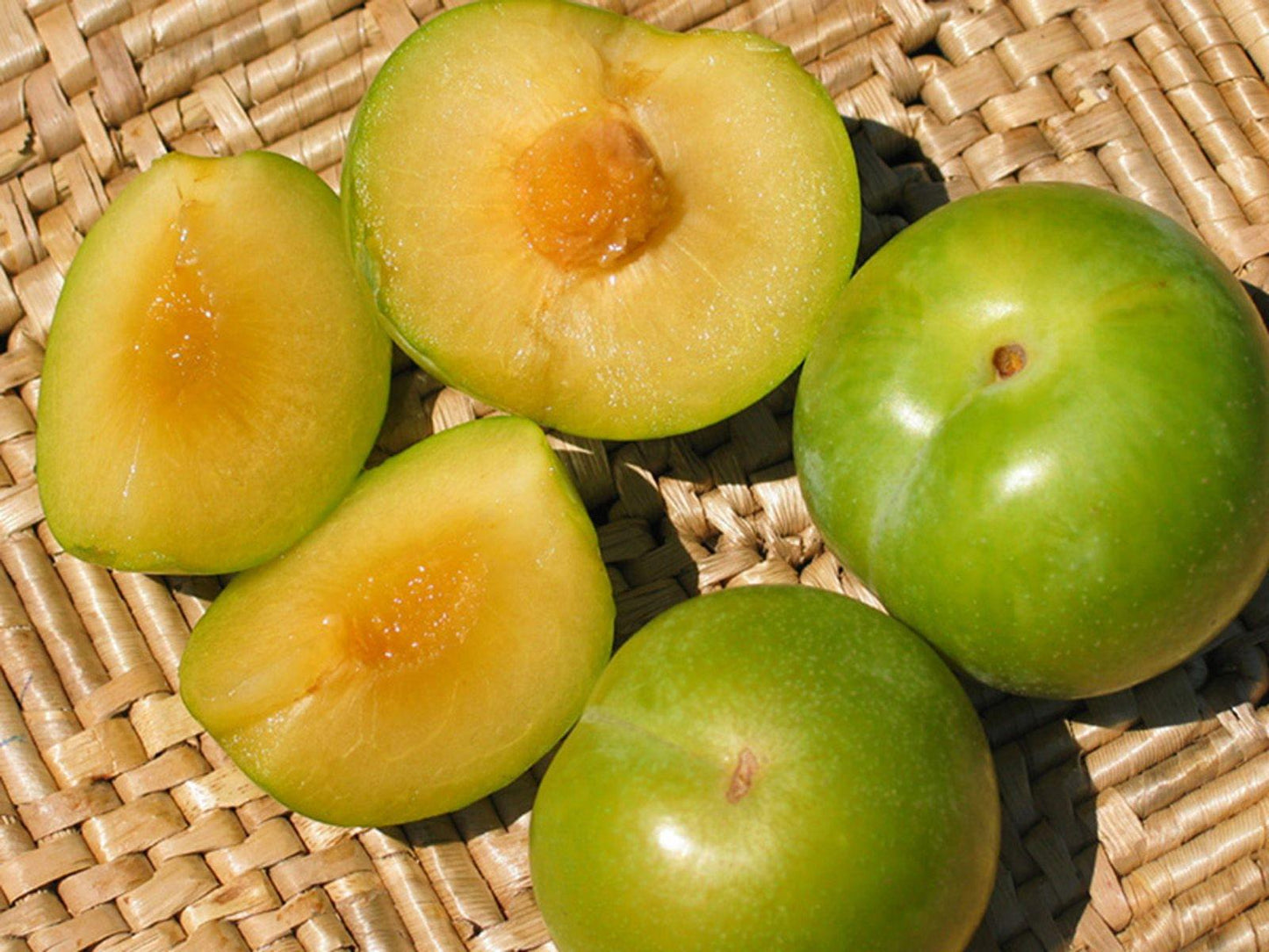 Pluot - Emerald Drop - PRE-ORDER