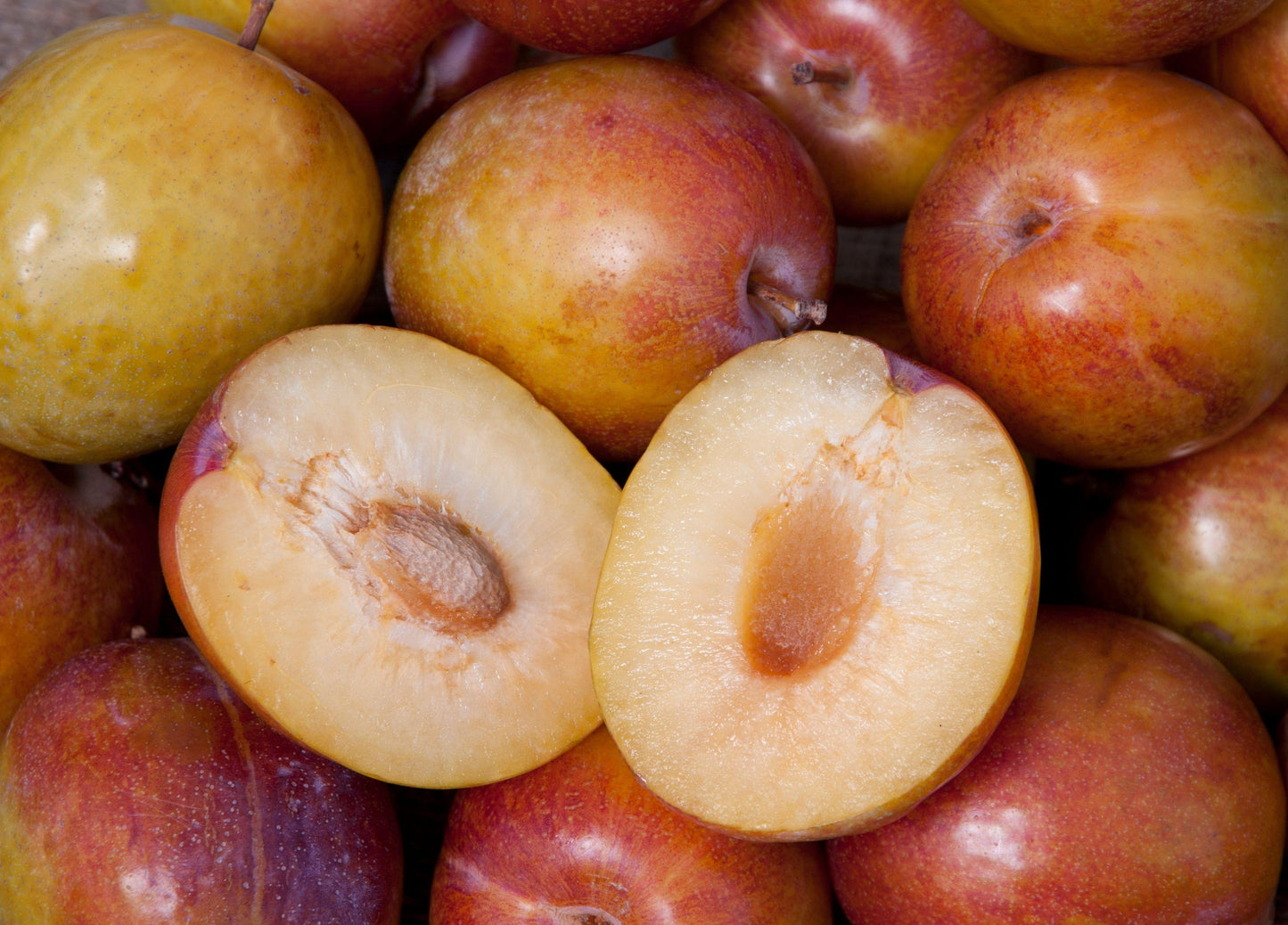 Pluot - Flavor Grenade - PRE-ORDER