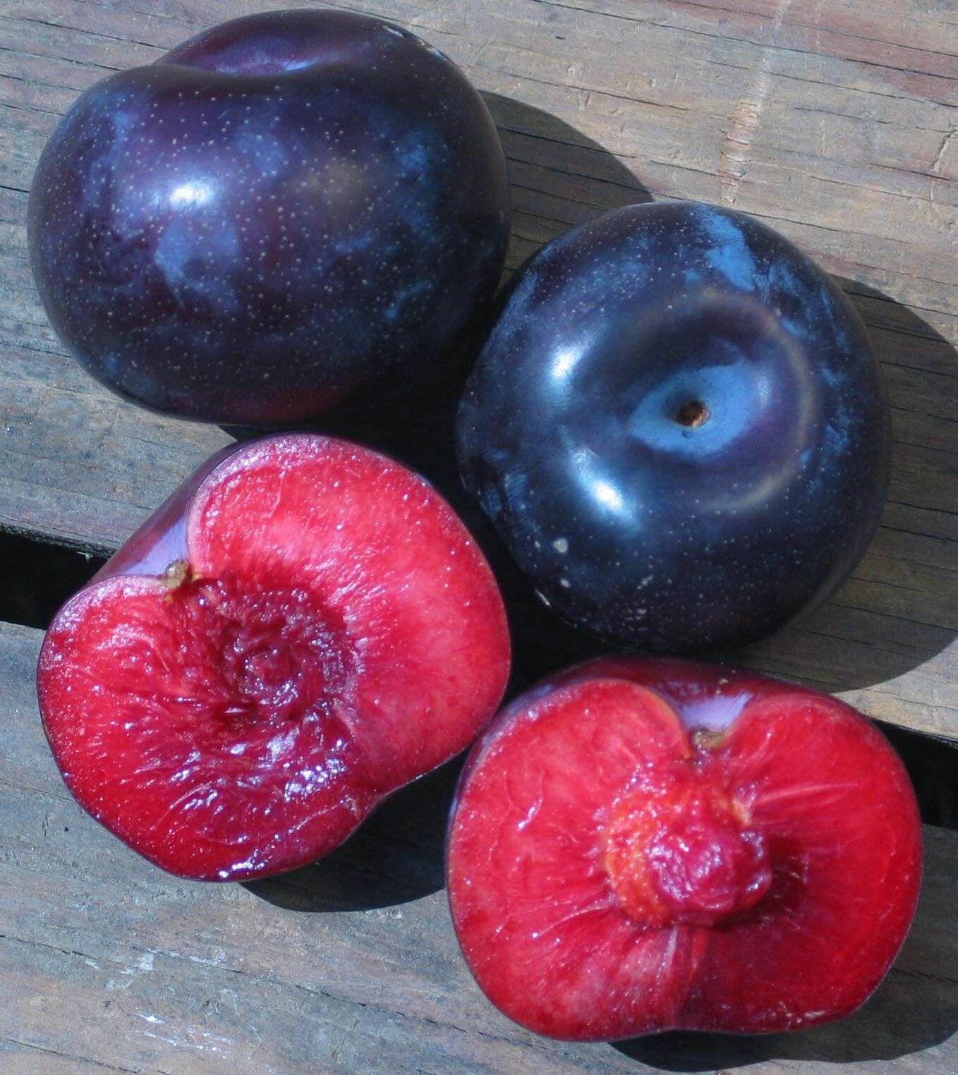 Pluot - Flavorosa - PRE-ORDER