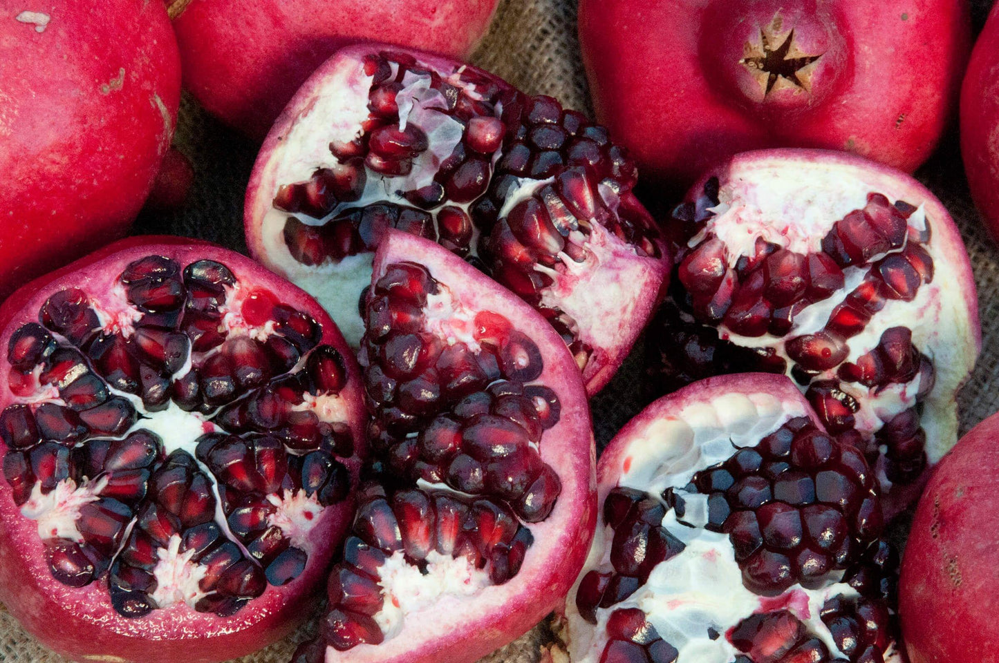 Pomegranate - Parfianka - PRE-ORDER