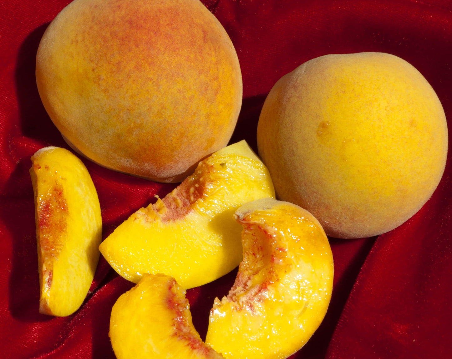 Peach - Red Baron - PRE-ORDER