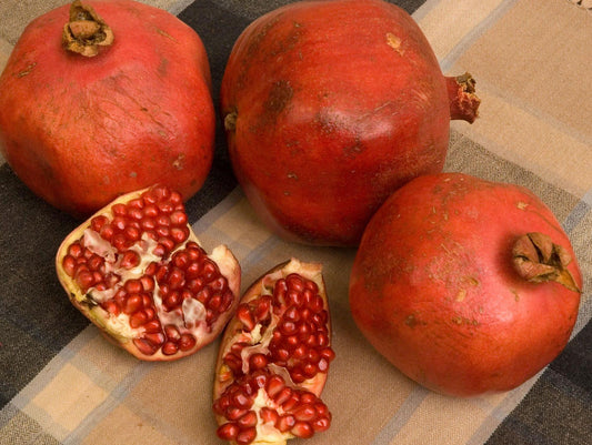 Pomegranate - Red Silk