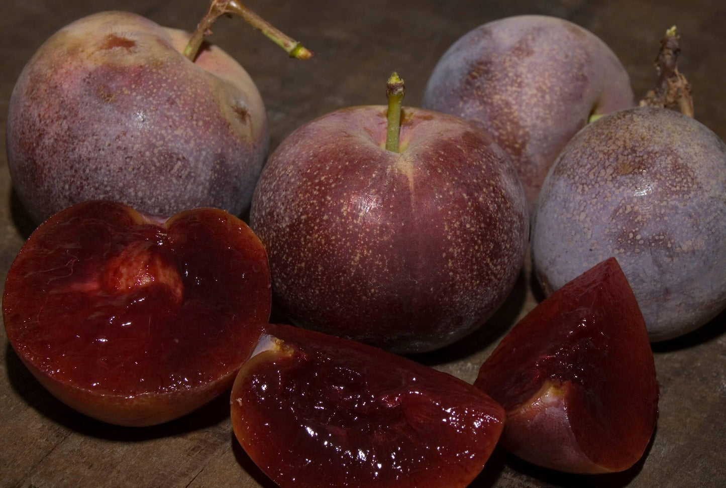 Plum - Satsuma - PRE-ORDER