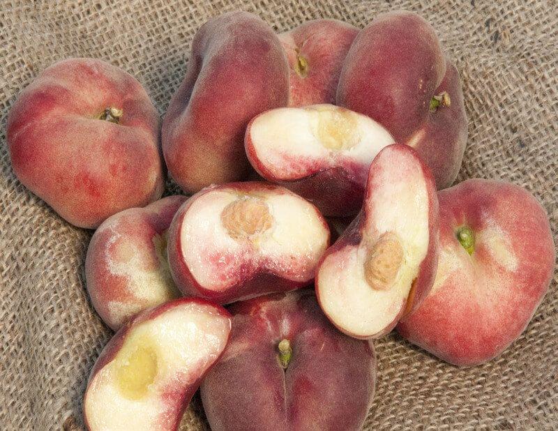 Peach - Sauzee Swirl - PRE-ORDER