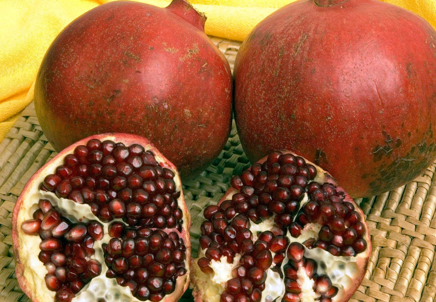Pomegranate - Sharp Velvet - PRE-ORDER