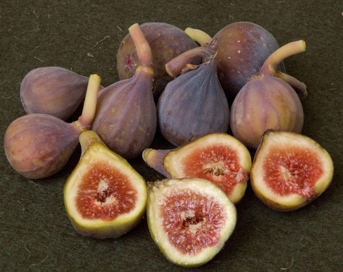 Figs - Celestial