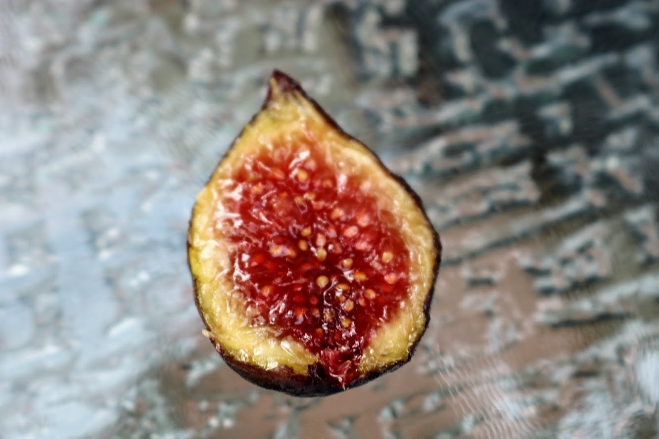 Figs - Chicago Hardy