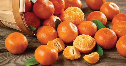 Citrus - Tangerine - Clementine