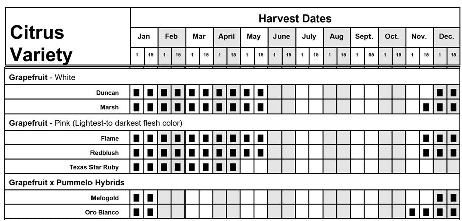 Citrus - Grapefruit - Rio Red