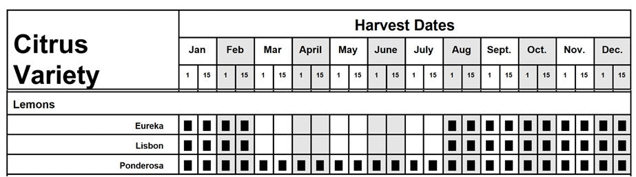 Citrus - Lemon - Ponderosa