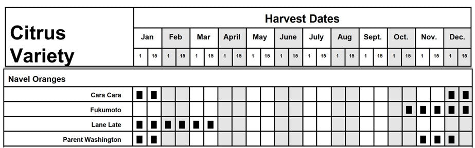 Citrus - Orange - Trovita