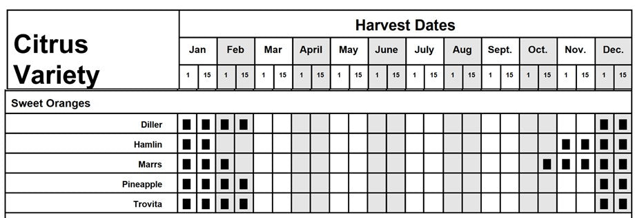 Citrus - Orange - Early Hamlin