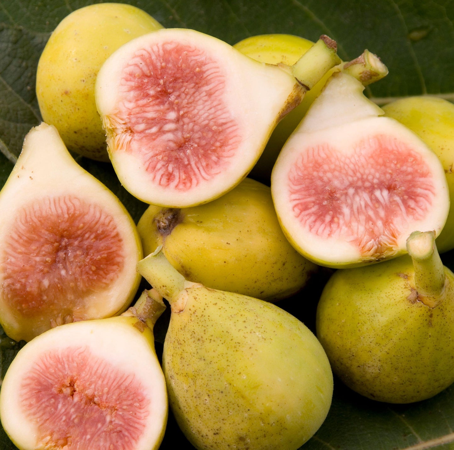 Figs - Peter's Honey