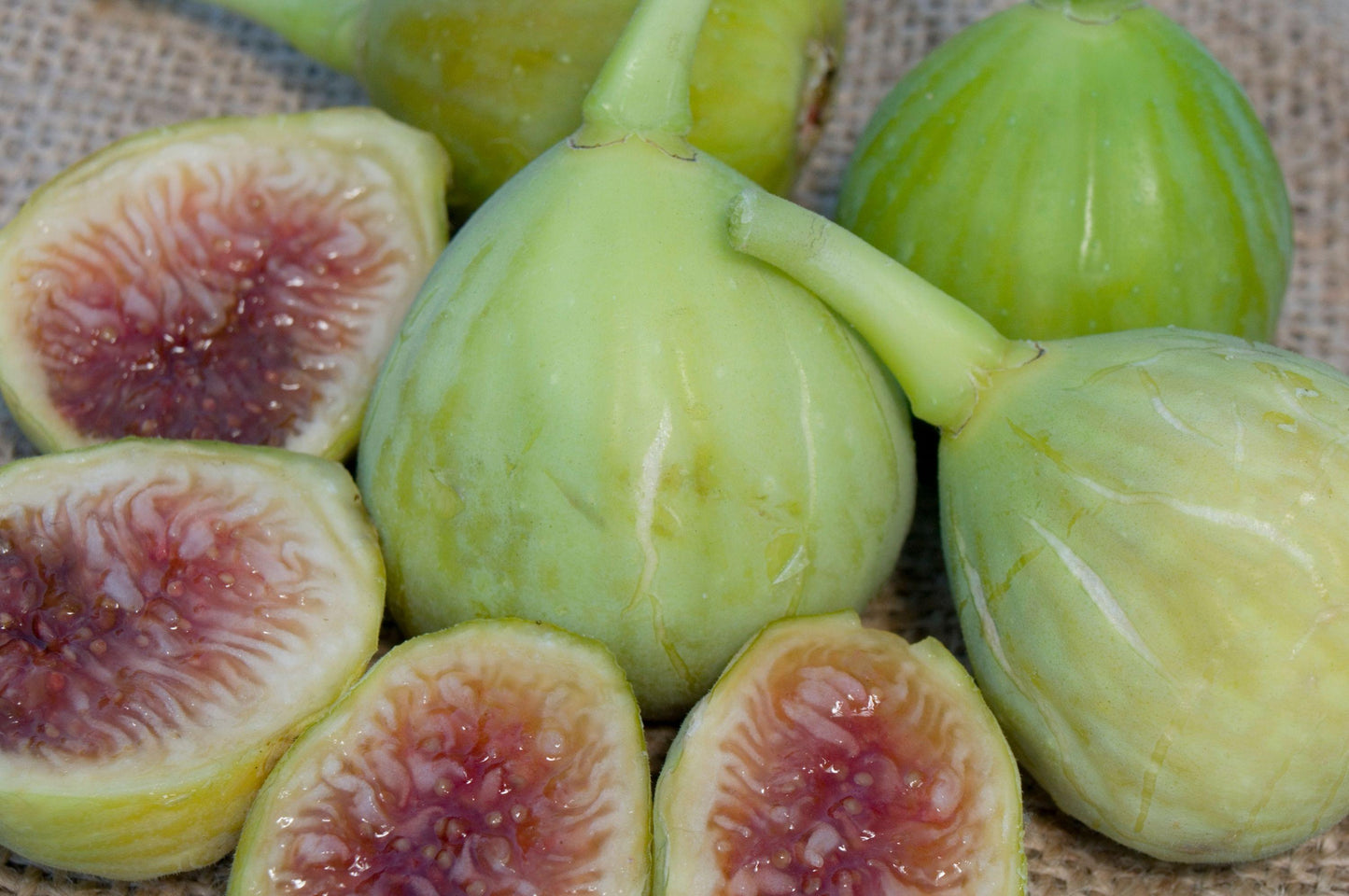 Figs - White Genoa