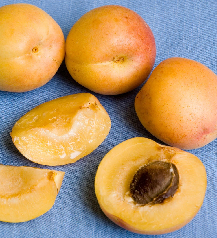 Apriums