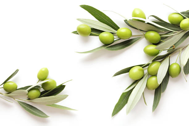 Olives