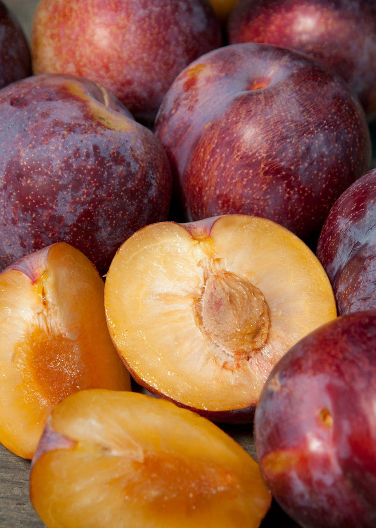 Pluot