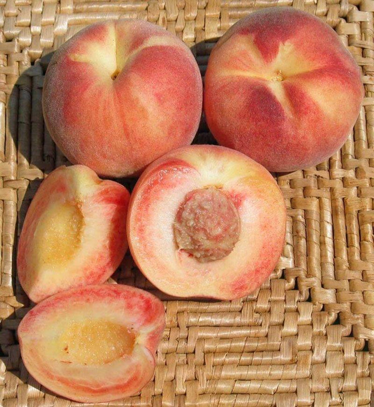 Peach Plum