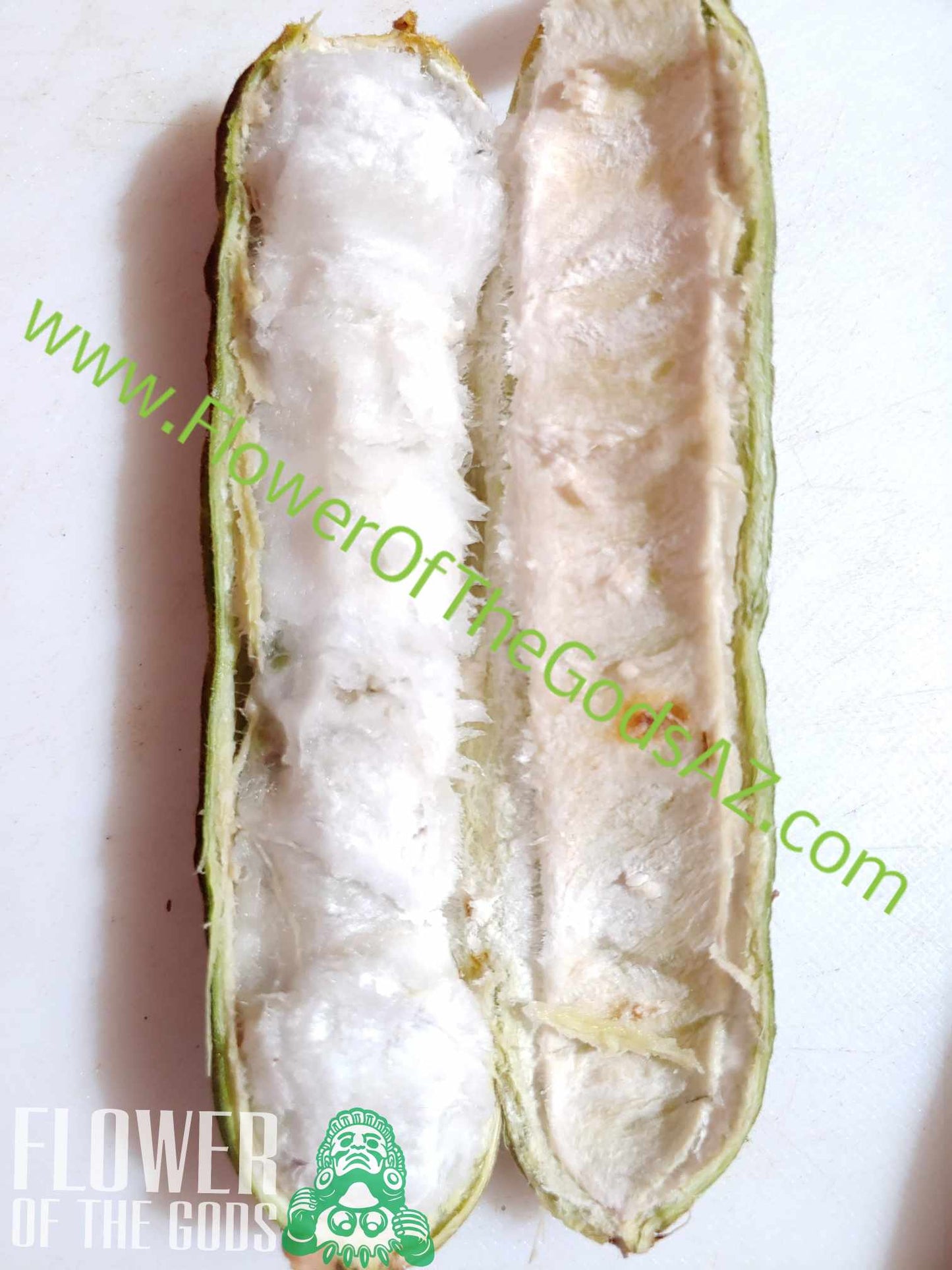 Tropical - Ice Cream Bean