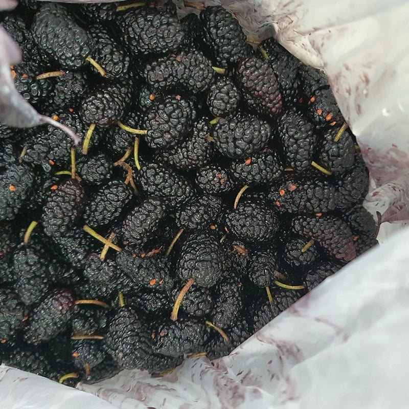 Mulberry - Black Beauty