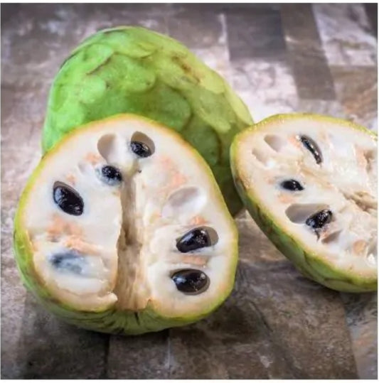 Tropical - Cherimoya