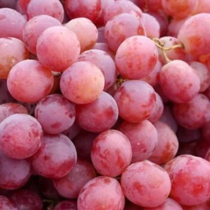 Grapes - Crimson Seedless