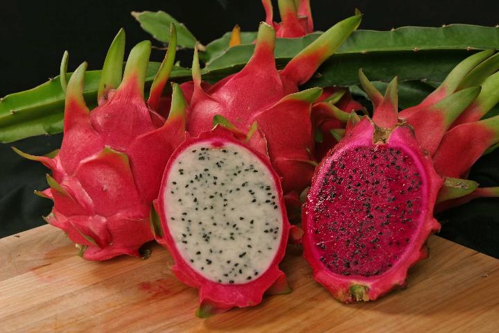 Tropical - Dragon Fruit or Pitaya