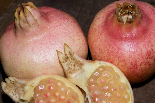 Pomegranate - Eversweet - PRE-ORDER