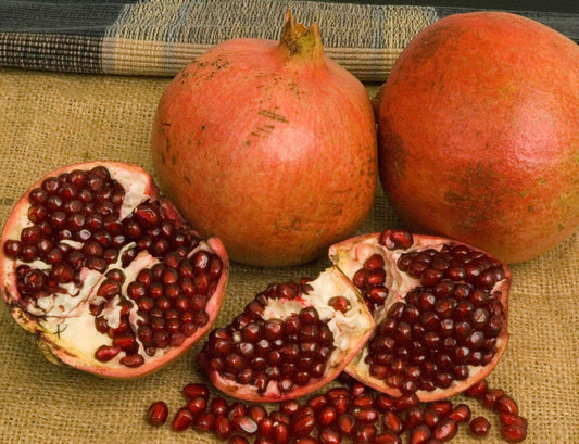 Pomegranate - Kashmir - PRE-ORDER