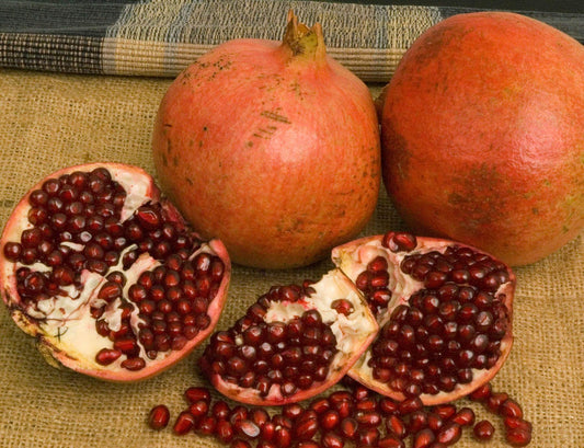 Pomegranate - Kashmir - PRE-ORDER