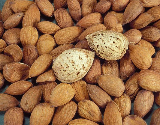 Almond - All In One