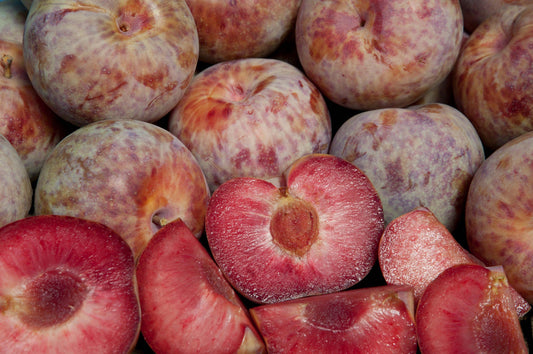 Pluot - Dapple Dandy - PRE-ORDER